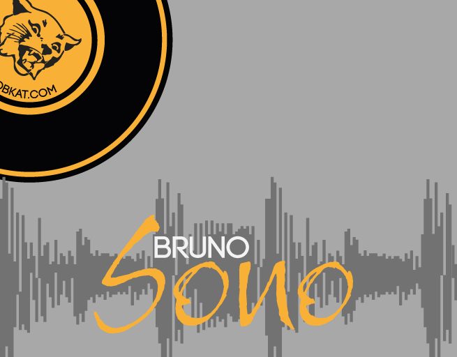 Illustration du camion de Bruno Sono, DJ sur la côte basque. Réalisation par le studio du Flamant rose, Bordeaux